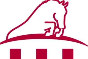 DotHorse cambia pelle