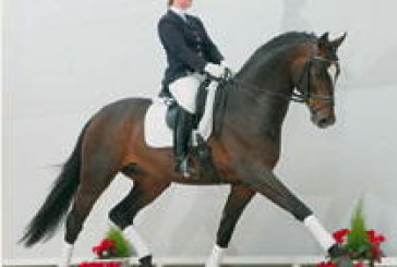 Asta d’Elite Oldenburg: 250.000 euro per Sir Donnerhall II
