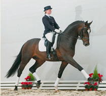 Asta d’Elite Oldenburg: 250.000 euro per Sir Donnerhall II
