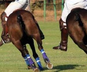 RomaCavalli: entra in scena l’emozione dei goleador