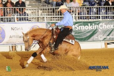 Americana 2011