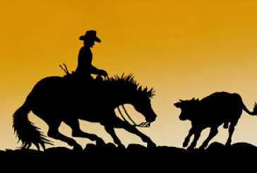 Associazione Italiana Cutting Horse