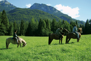 A cavallo nei boschi incantati della Carnia