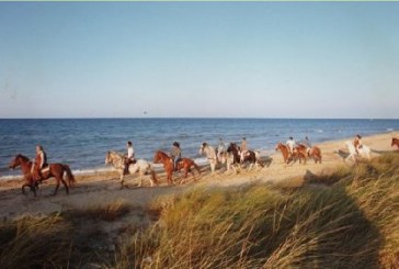 Cavalli sotto le stelle