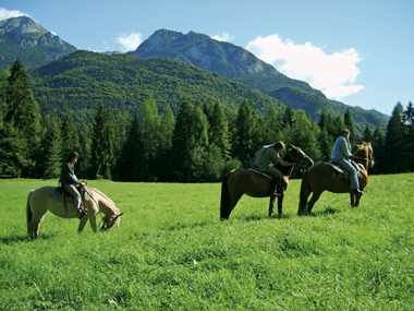 A cavallo nei boschi incantati della Carnia
