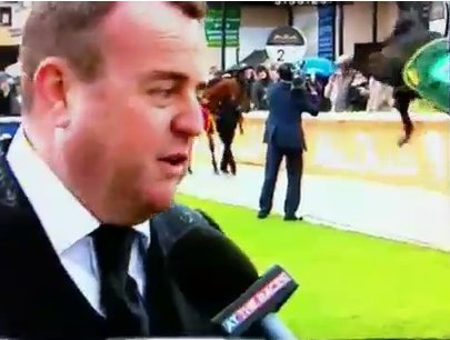 Il cavallo scalcia, cameraman vivo per miracolo – video