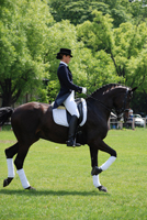 Corso Istruttori 1°liv. di Dressage