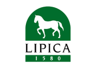 Ente Cavallo Lipizzano
