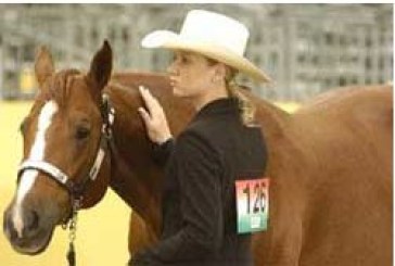 Associazione Italiana Quarter Horse
