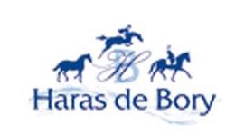 CSI** Haras de Bory: ottavo posto di Lorenzo De Luca nel GP