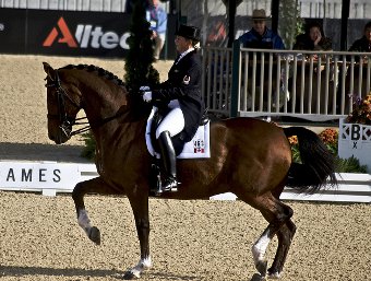 Campionati Europei Dressage FEI: record di partecipazioni per la 25esima edizione