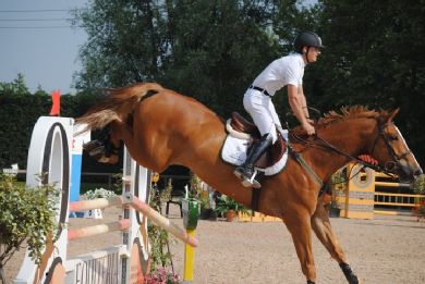 Csio YR Wierden: Previtali secondo nel Gran Premio young rider di Wierden