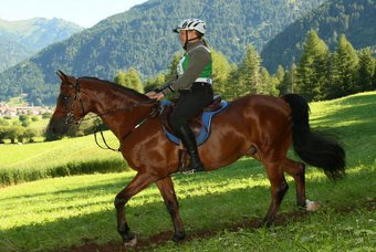 10 giorni equestre: oggi si parte e c’è anche Facebook