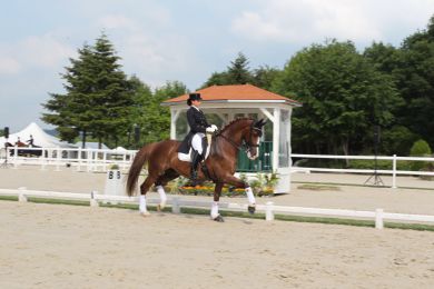 Campionati Europei Dressage Broholm Castle: juniores e young rider