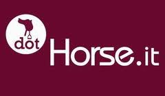 DotHorse, ecco il nuovo Forum per tutti gli utenti!