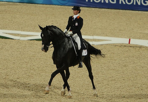 Grande rientro per Anky e Salinero al World Dressage Masters di Falsterbo