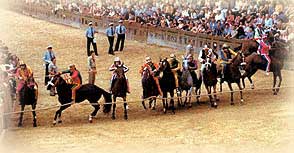 Palio di Siena: muore cavallo durante la quarta prova