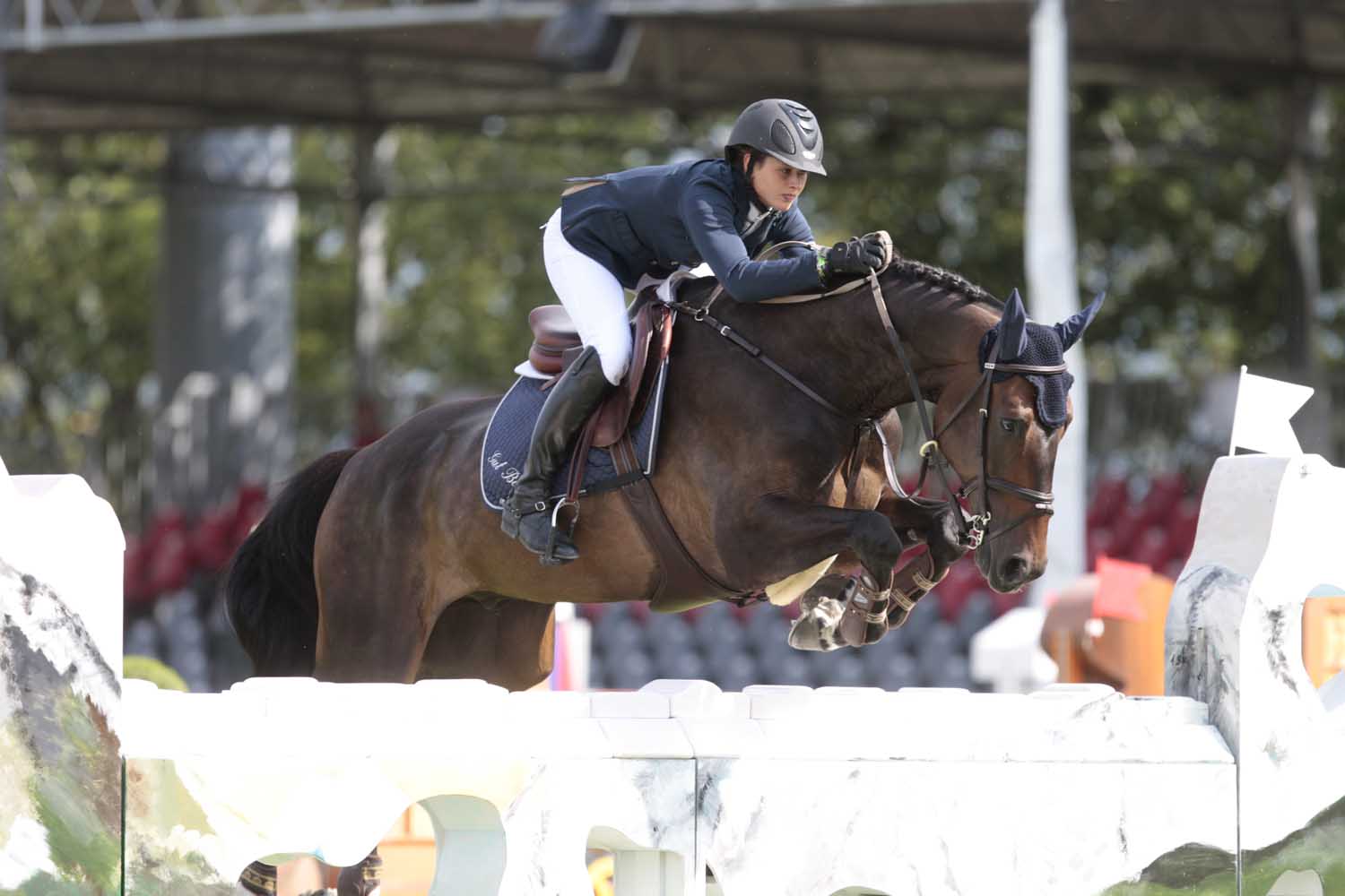 CSI San Patrignano – Katrin Eckermann primeggia nella categoria Giovani Cavalli