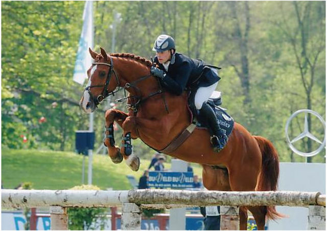 Csi 4stelle Donaueschingen: la vittoria a Johannes Ehning