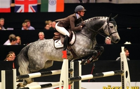 Nuovo cavallo per Marcus Ehning