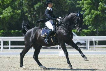 Il “Ricci Milano” presenta LOVE FOR HORSES