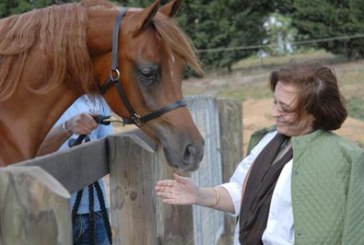 25° Anniversario del Campionato Nazionale Italiano del Cavallo Arabo