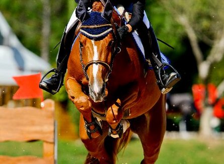 Dalla Fei novità in vista sul fronte doping