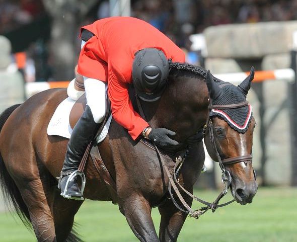 Addio Hickstead, piccolo grande campione