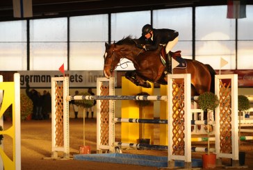 Arezzo Equestrian Center: Antonio Alfonso ancora vincente