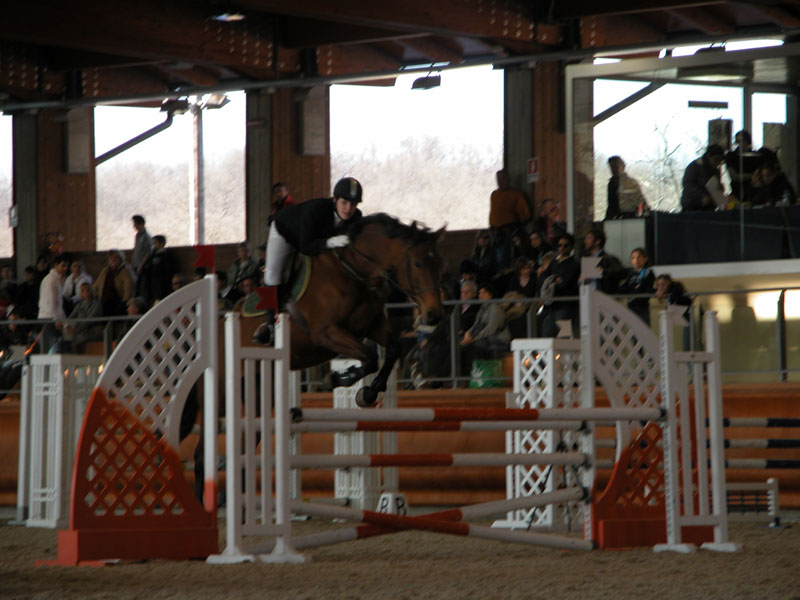 Primo concorso dell’anno al Centro Internazionale del Cavallo