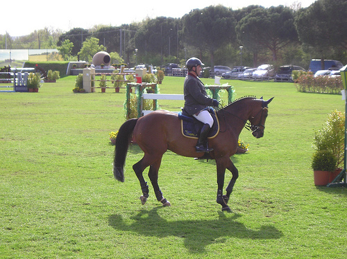 Arezzo Equestrian Centre: Casadei vince il Gran Premio