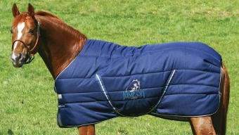 DotHorse – Concorso: la coperta Horseware va a Kiki Horse