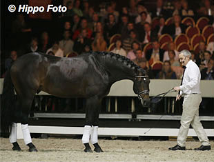 Roma Cavalli 2012 – La lecture-demonstration di Andrew McLean