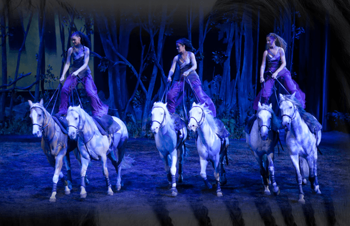 Spettacoli equestri: Odysseo il nuovo show di Cavalia