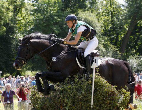 CIC Wiesbaden: Klimke batte Jung