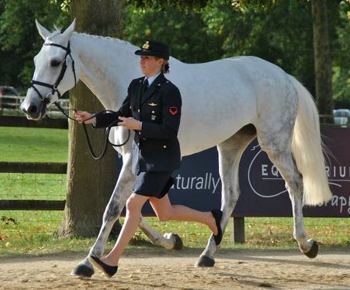 Olimpiadi Londra: nel completo la visita veterinaria off-limits per il pubblico