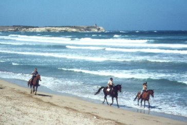 “Cavalli sotto le stelle”: in Sardegna la prima tappa del Trofeo “Giovanni Seda”