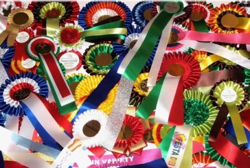 Un nuovo cavallo per Jennifer Gates