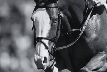 Il Concorso Ippico San Patrignano sarà ad Impatto Zero