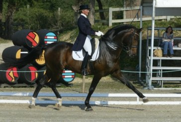 CDI World Dressage Masters Falsterbo: ottimo debutto per Silvia Rizzo