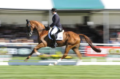 La caduta di Clayton Fredericks al CCI di Burghley