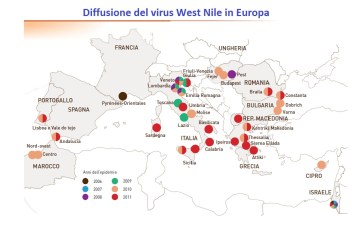 Nuovi casi di virus West Nile colpiscono l’Europa