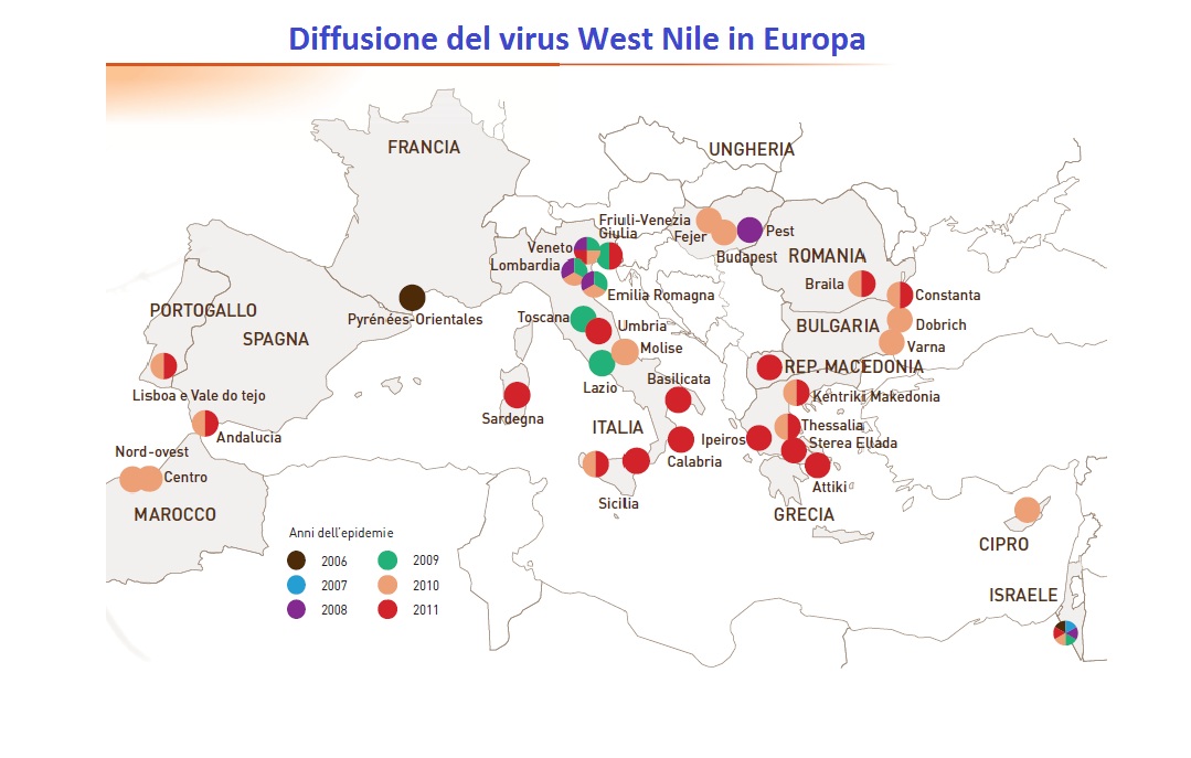 Nuovi casi di virus West Nile colpiscono l’Europa