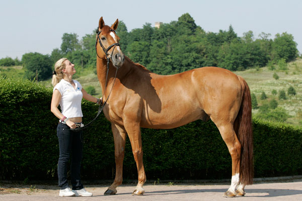 Campionati Italiani Dressage Arezzo: distribuite tutte le medaglie