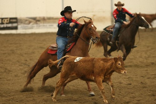 Un team penning che raddoppia al Salone del Cavallo