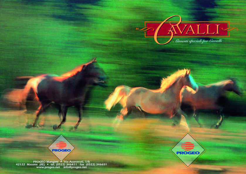 L’alimentazione del cavallo? Non dipende dalle mode!