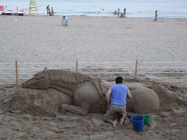 Cavallo di sabbia, foto del giorno