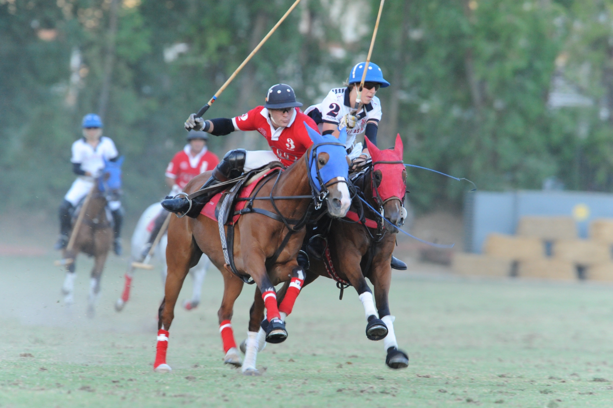 Audi Polo Gold Cup al Roma Polo Club