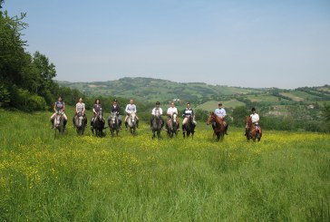 Turismo Equestre Fise, i viaggi di giugno