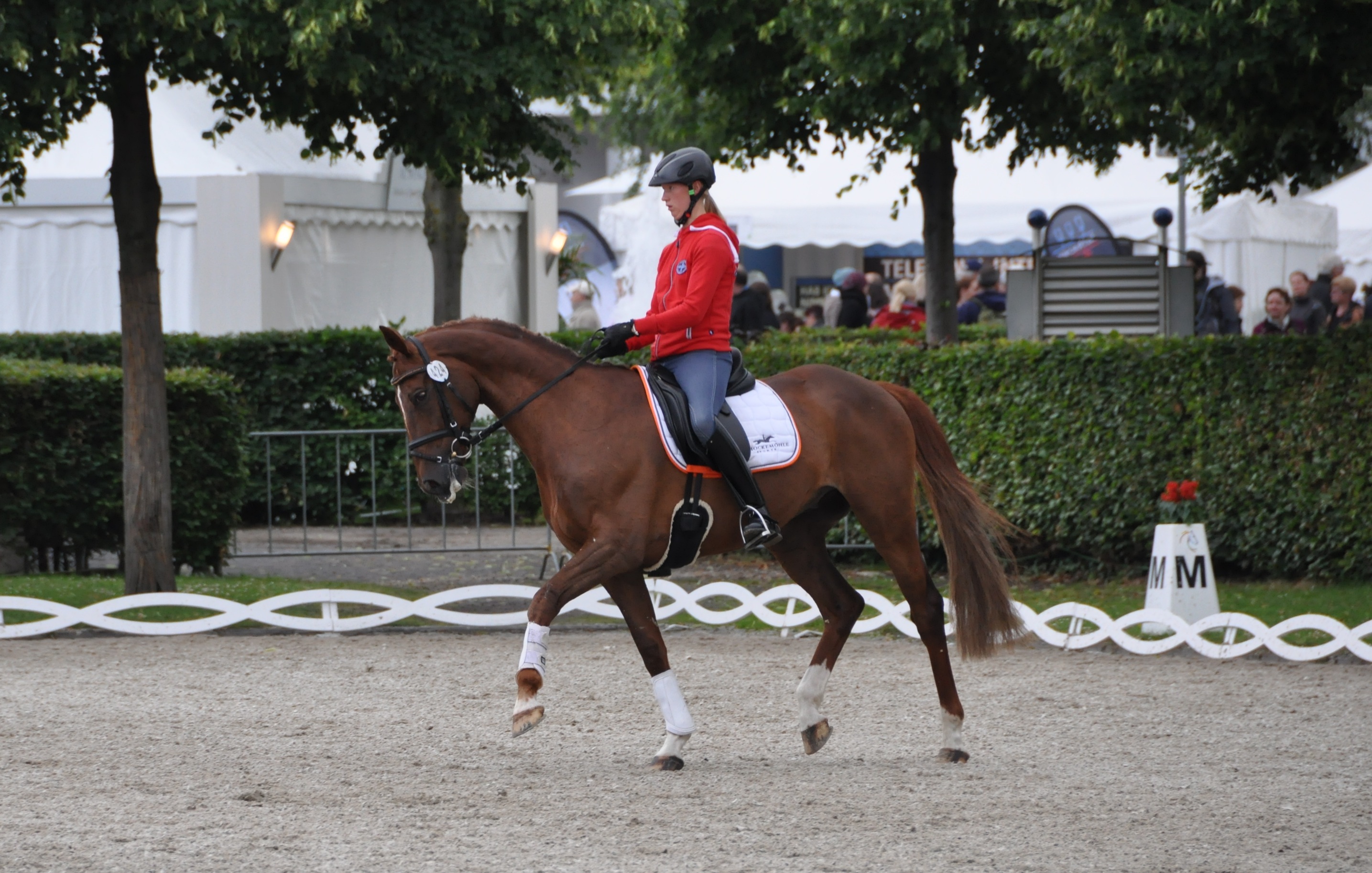 Niente Europei anche per Sandra Auffarth